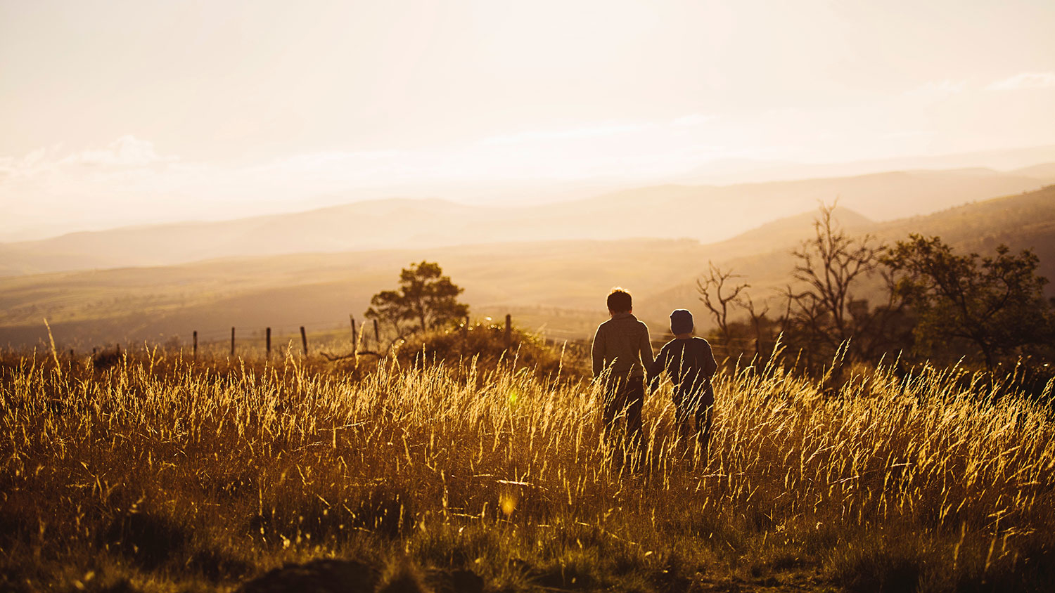 Two children walking in a field at dusk